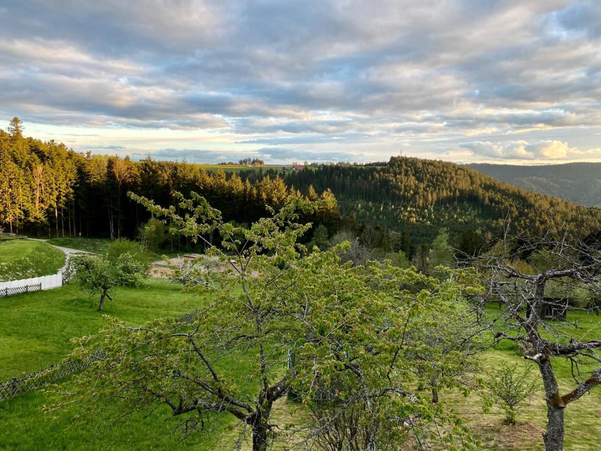 Ferienhaus Mit 5* Luxus Im Schwarzwald أيشهالدين المظهر الخارجي الصورة